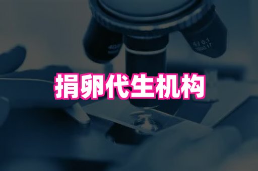 nub孕网 3